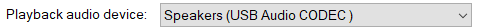 1. Playback audio device