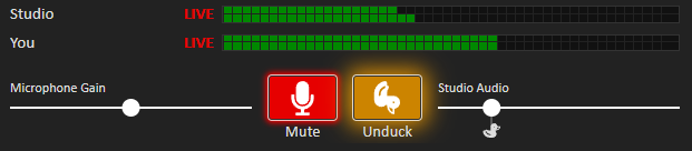 Active microphone audio levels