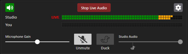Live Audio panel in active state