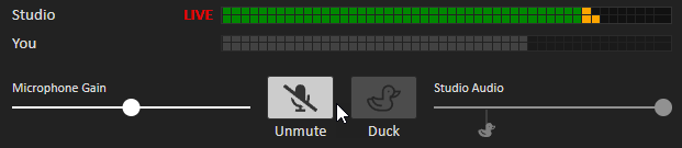 Live audio monitoring display