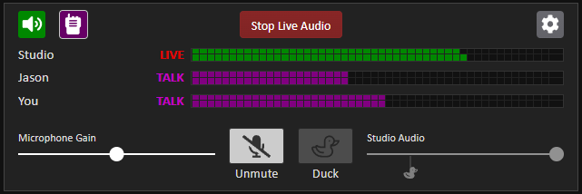 Multiple presenters view with talkback