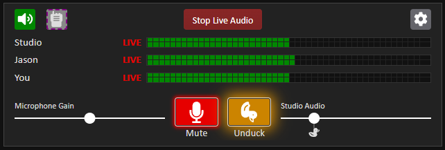 Multiple presenters view with live microphone