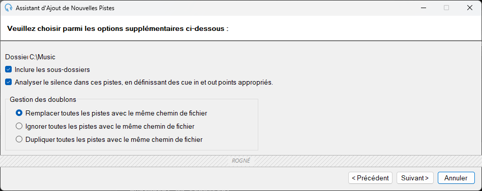 Page des options supplémentaires de l'Assistant d'ajout de nouvelles pistes de PlayIt Live