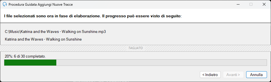 Pagina di avanzamento della Procedura Guidata Aggiungi Nuove Tracce di PlayIt Live