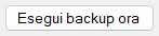 Esegui backup ora