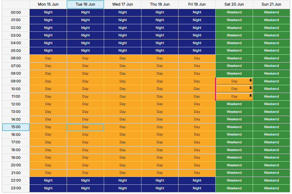 Weekly schedule grid