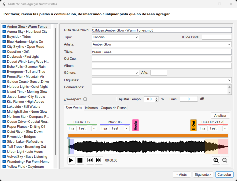 Página de revisión del Asistente para Agregar Nuevas Pistas de PlayIt VoiceTrack