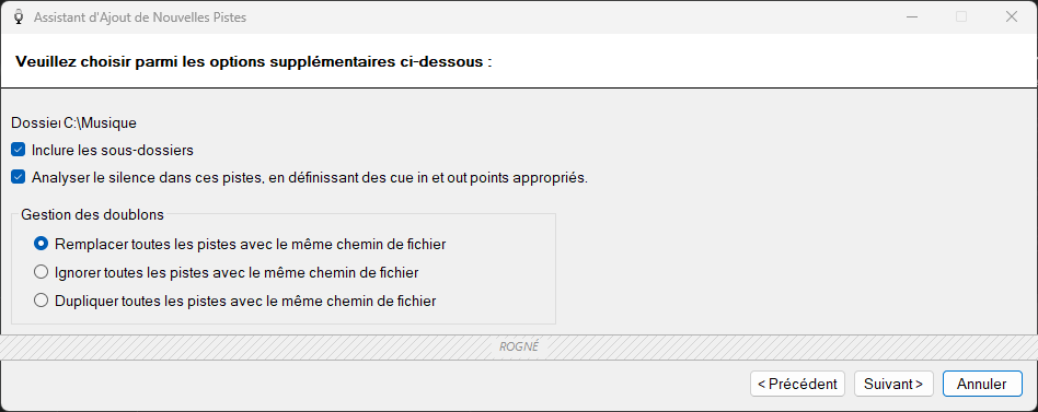 Page des options supplémentaires de l'Assistant d'ajout de nouvelles pistes de PlayIt VoiceTrack