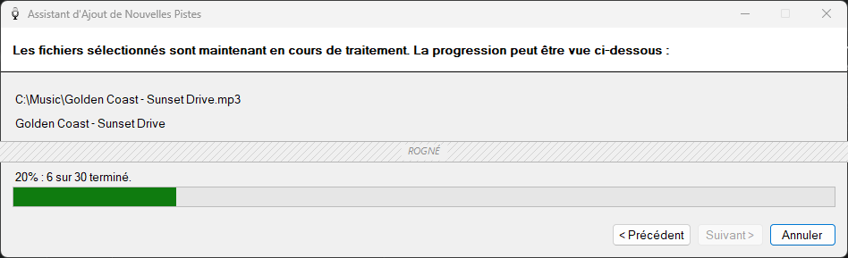 Page de progression de l'assistant d'ajout de nouvelles pistes PlayIt VoiceTrack