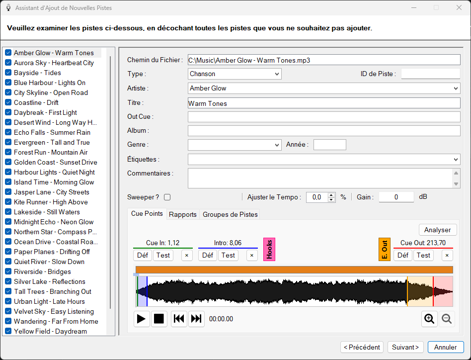 Page de révision de l'Assistant d'Ajout de Nouvelles Pistes de PlayIt VoiceTrack