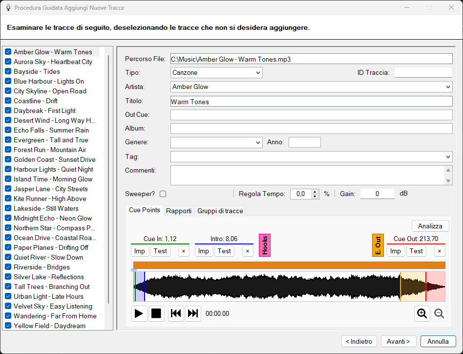 Pagina di revisione dell'Aggiunta Guidata di Nuove Tracce di PlayIt VoiceTrack