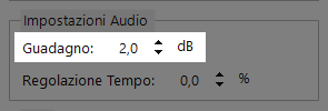 Impostazione Guadagno evidenziata nel pannello Impostazioni Audio