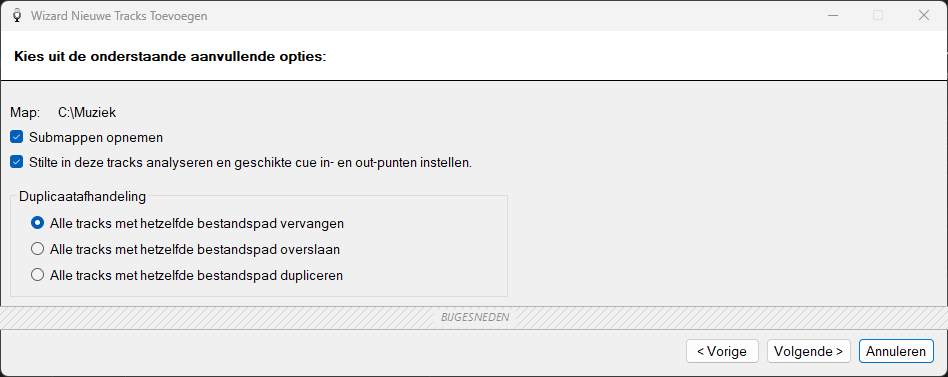 Pagina Extra opties van de Wizard Nieuwe tracks toevoegen van PlayIt VoiceTrack